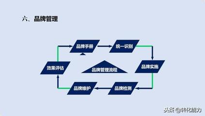 品牌 從定義到實戰——品牌策劃、管理與運營的全維度指南